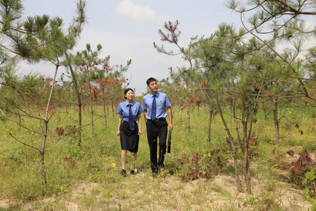 ���B(t��i)���� �a(ch��n)�I(y��)��G�������l(xi��ng)�z��e�O�������S���������B(t��i)�h(hu��n)�����m(x��)����